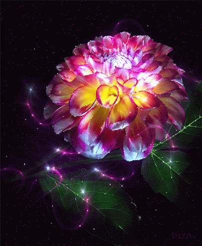  photo beautiful-flower-animated-gif11_zpsypaqdfjn.gif