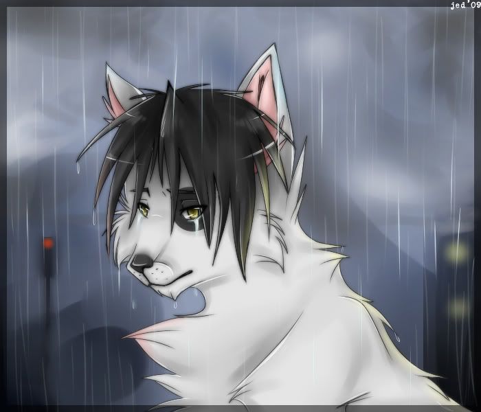 Sad Wolf Furry Photo By Furrywolfaurora Photobucket