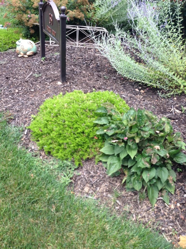  photo B90C5DF9-D80E-4A23-99BB-21AEFA77EBF4.jpg