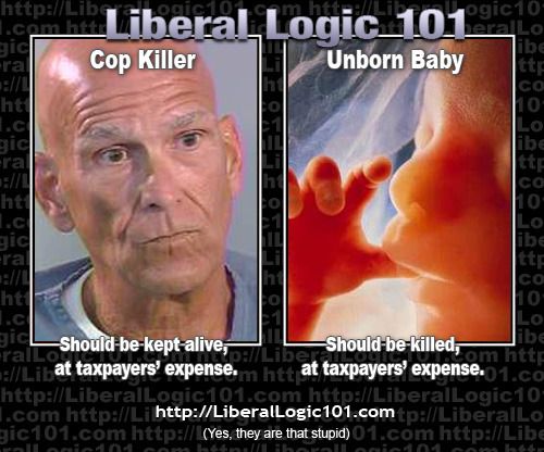  photo liberal-logic-101-264.jpg
