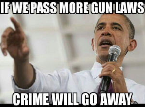  photo obama-gun-quote-300x221.png