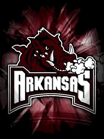 Arkansas razorbacks Pictures, Images and Photos