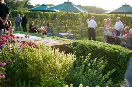 Long Island Vineyard Wedding on Merci New York