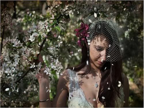 Photo Muse on Merci New York