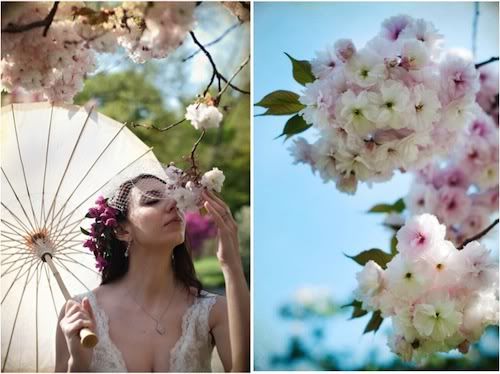 Photo Muse on Merci New York