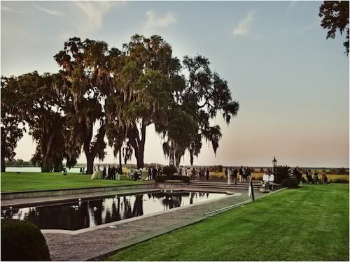 Southen wedding reflecting pool live oak david beahm on merci new york