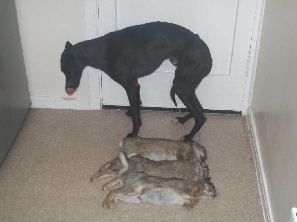 105_1101.jpg?t=1352315764