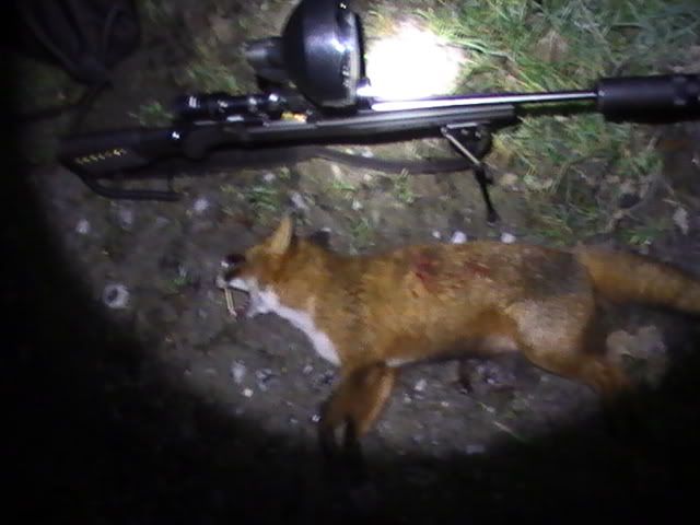 fox21-12-11.jpg