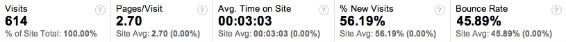 Atlanta Business Video Website Statistics