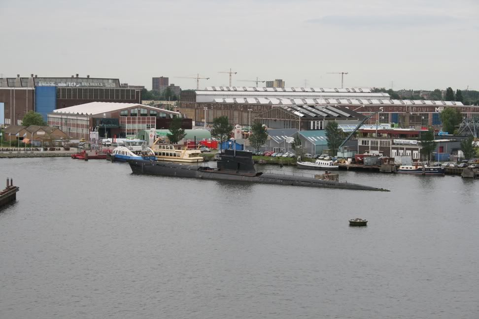 MSCOPERAlugl11019.jpg