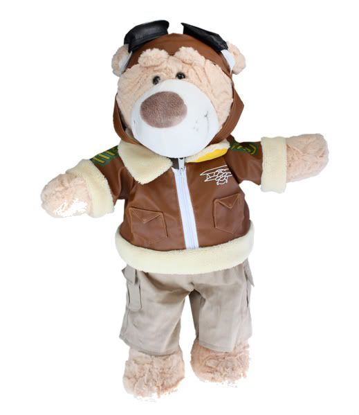 teddy bear pilot outfit