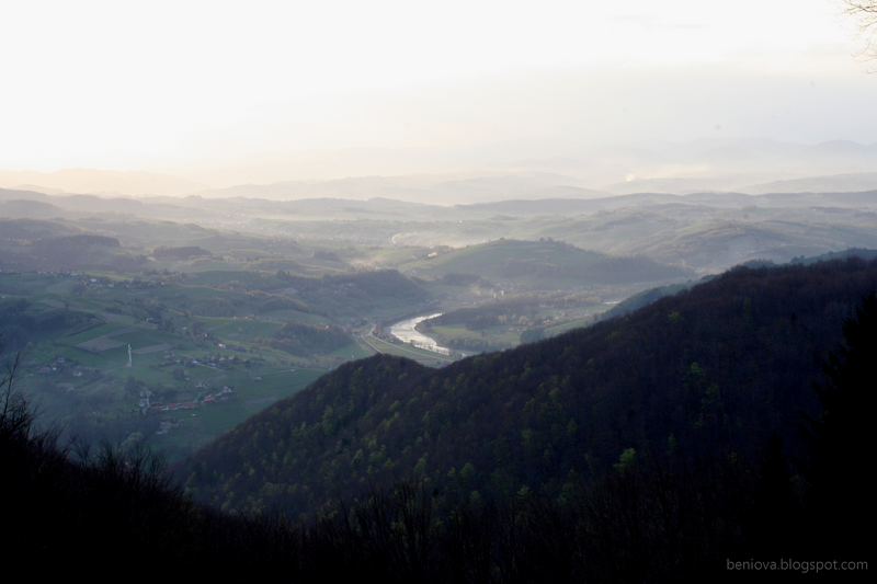 photo IMG_6887-800_zpso661sck3.png