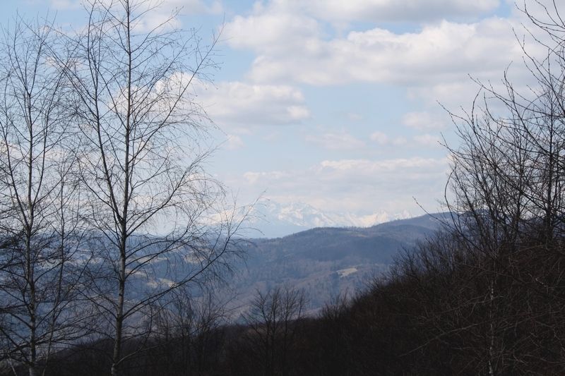 photo IMG_6930_zpsujbu3rpm.jpg