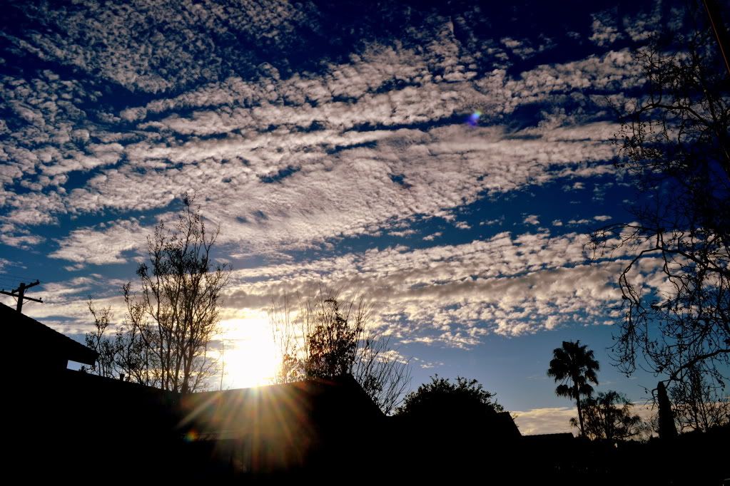 A New Day Pictures, Images and Photos