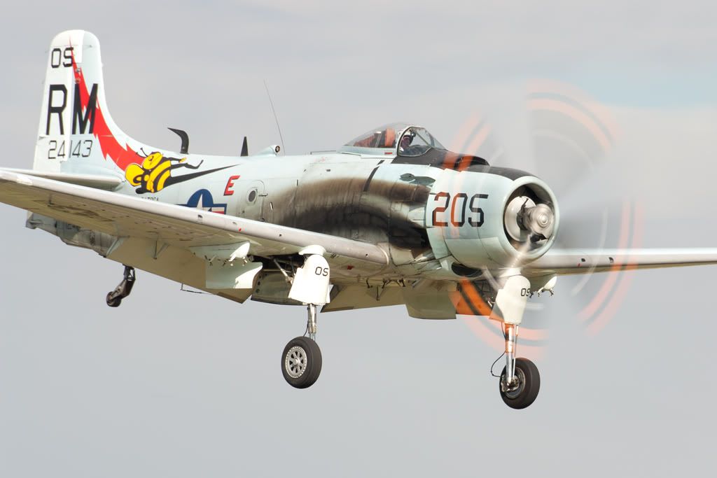 http://i1108.photobucket.com/albums/h413/Phil_NCFC/SKYRAIDER.jpg