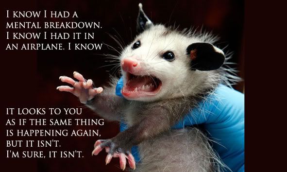 poss.jpg
