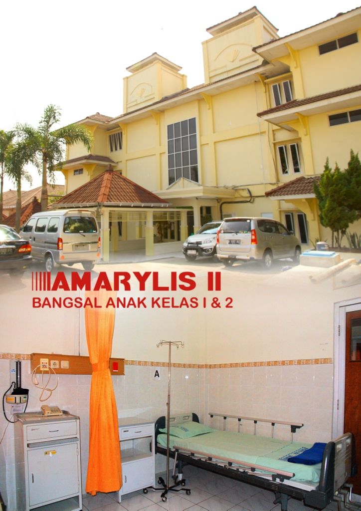 amarylis2 photo Amarylis2_zpsecmcmvwm.jpg