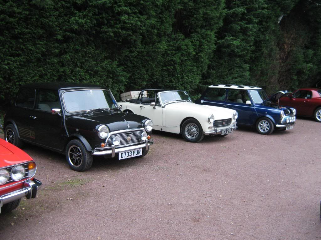 IMG_1058_zps5360699a.jpg
