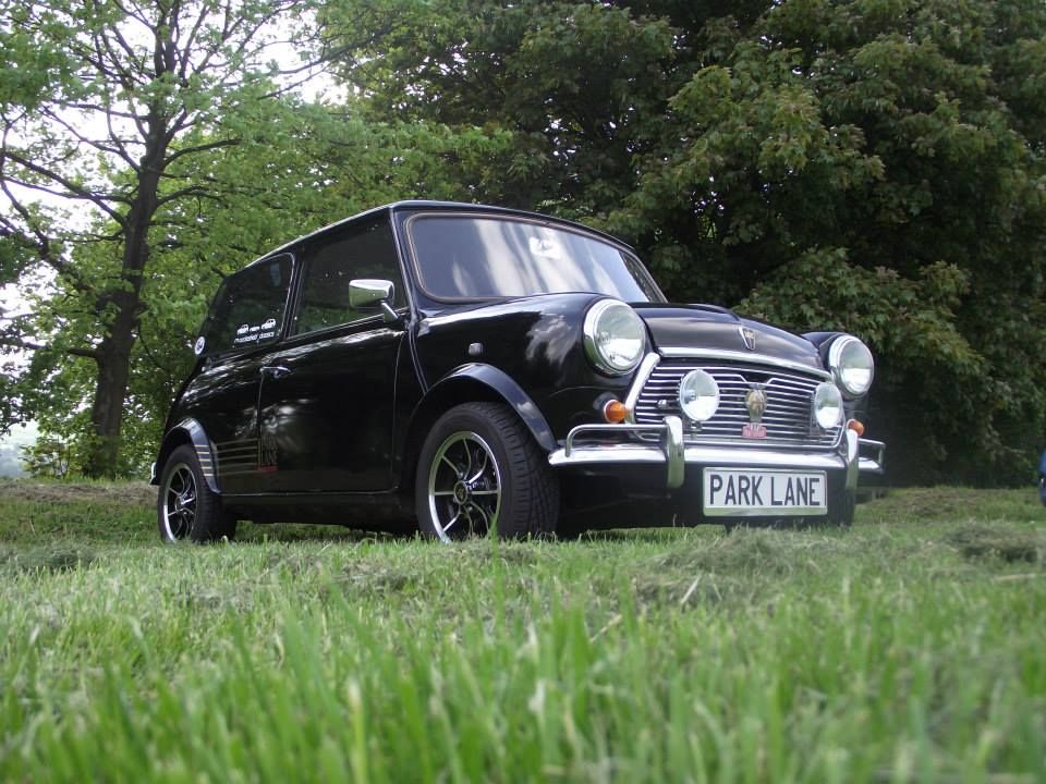 grassyparklane_zps6bc4263d.jpg