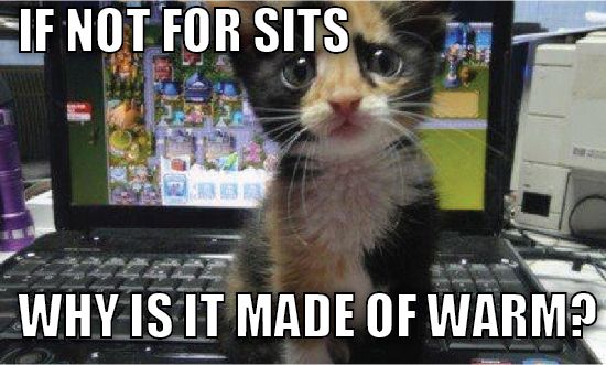 photo Keyboard-Cat-cats-31023747-550-331_zps60b84978.jpg