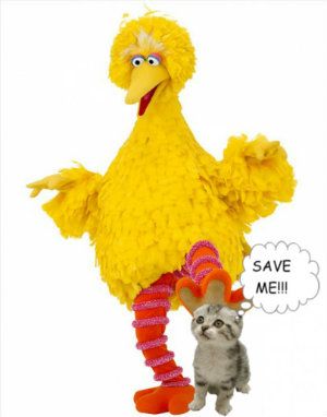 bigbirdkillerjpg_zpsacf89996 photo bigbirdkillerjpg_zpsacf89996-1_zps69c89e5c.jpg