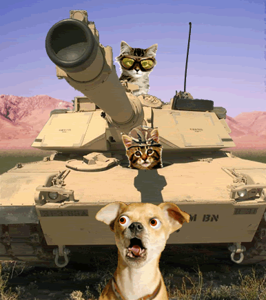 photo CatRacoonTankChasingDog_zpsacb826e6.gif