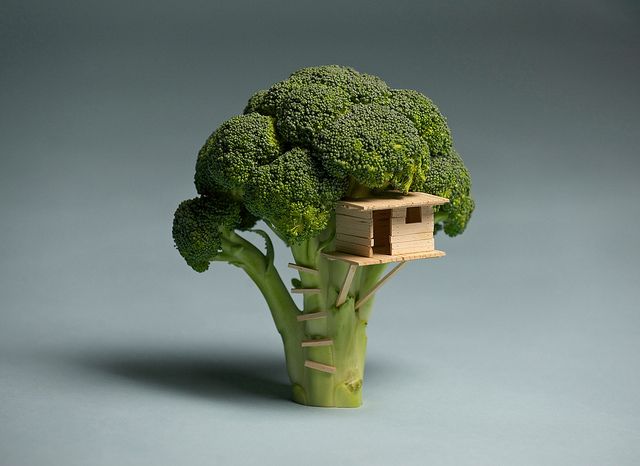 photo broccoli-treehouse_zpsc806cfc4.jpg