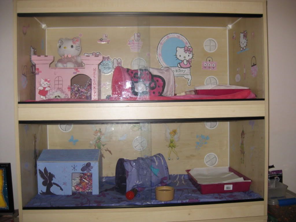 Hedgehogs, Cages or Vivariums? Page 3 Reptile Forums