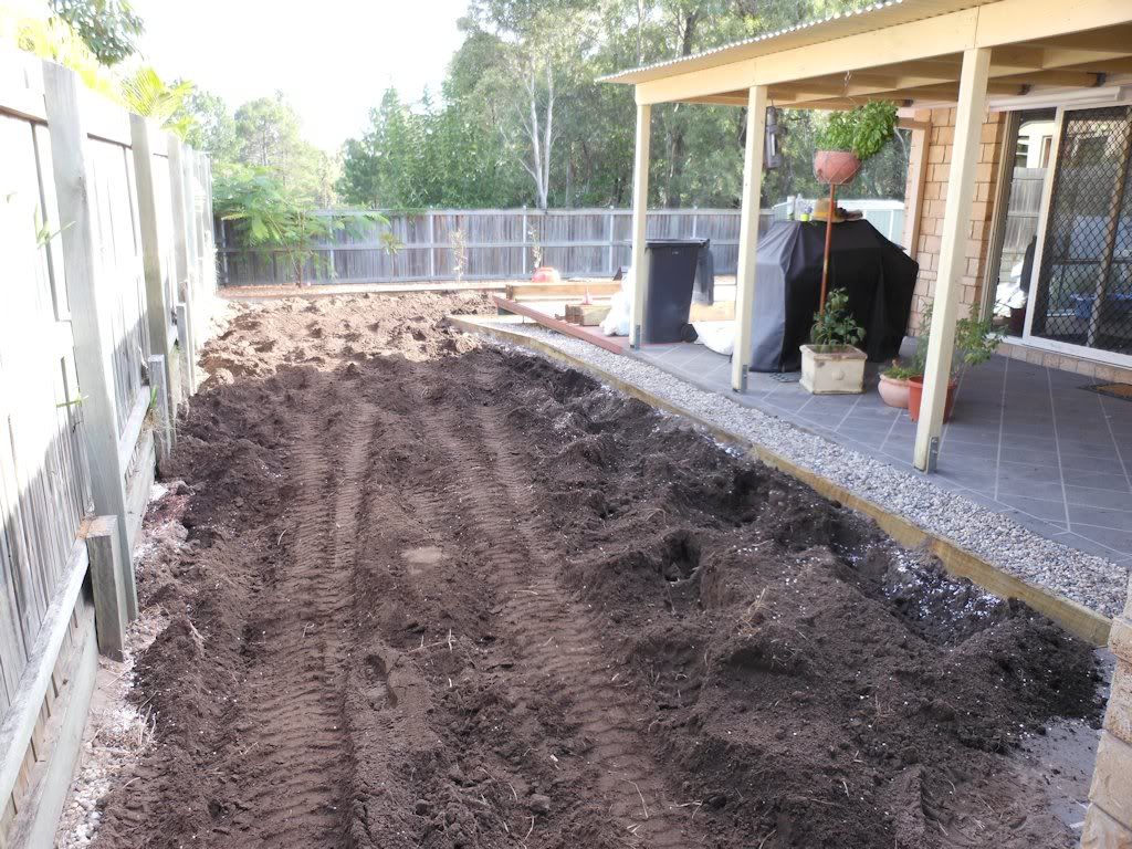View topic - Opinions on my soil, organic compost and grass • Home