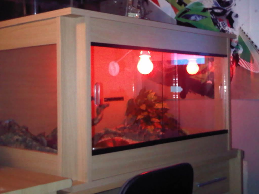 IMG00462-20110312-2148.jpg