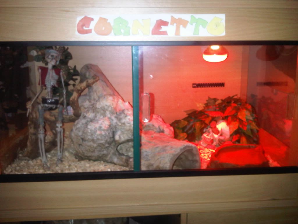 IMG00769-20110916-1550.jpg