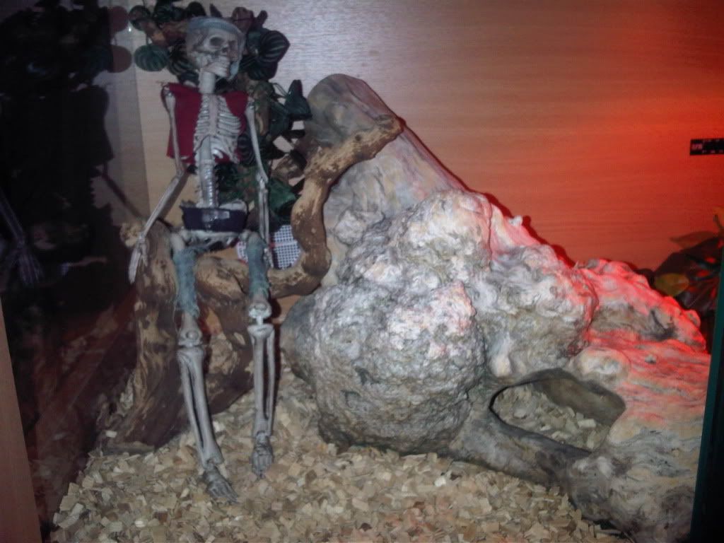 IMG00770-20110916-1550.jpg
