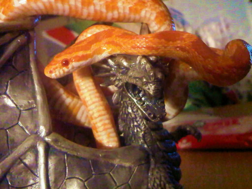 IMG00814-20111018-2231_1-1.jpg