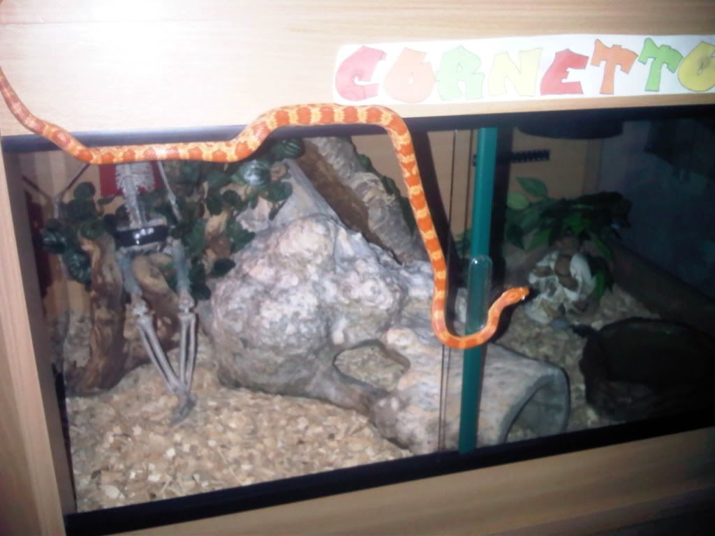 IMG00818-20111018-2234.jpg