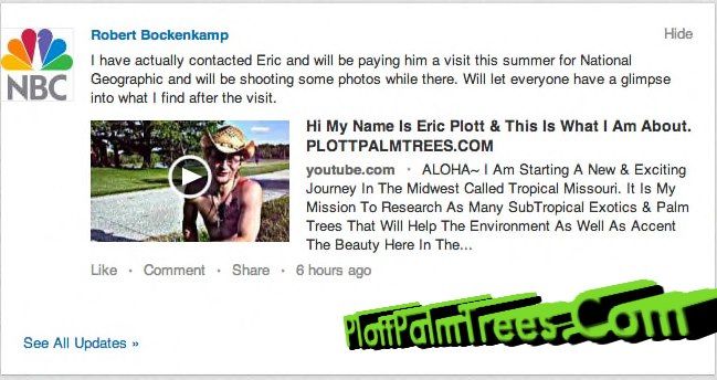 Tree of Miracles Plottpalmtrees.comMoringa Tribe Leader ? Columbia, MissouriVideos Explain It All, CLICK TO WATCH IT: http://www.youtube.com/watch?v=WI7fO6Cvvho&amp;list=PL12DE247EA5362E1BBUY FROM OUR WEBSITE:http://plottpalmtrees.com/page13.php photo 601716_133739223480951_972253865_n.jpg