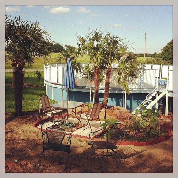 Will anyone meet me at the Midwester Beach Oasis for Moringa tea with soursop meat? Plottpalmtrees.com photo 946494_150074621847411_852691808_n.jpg