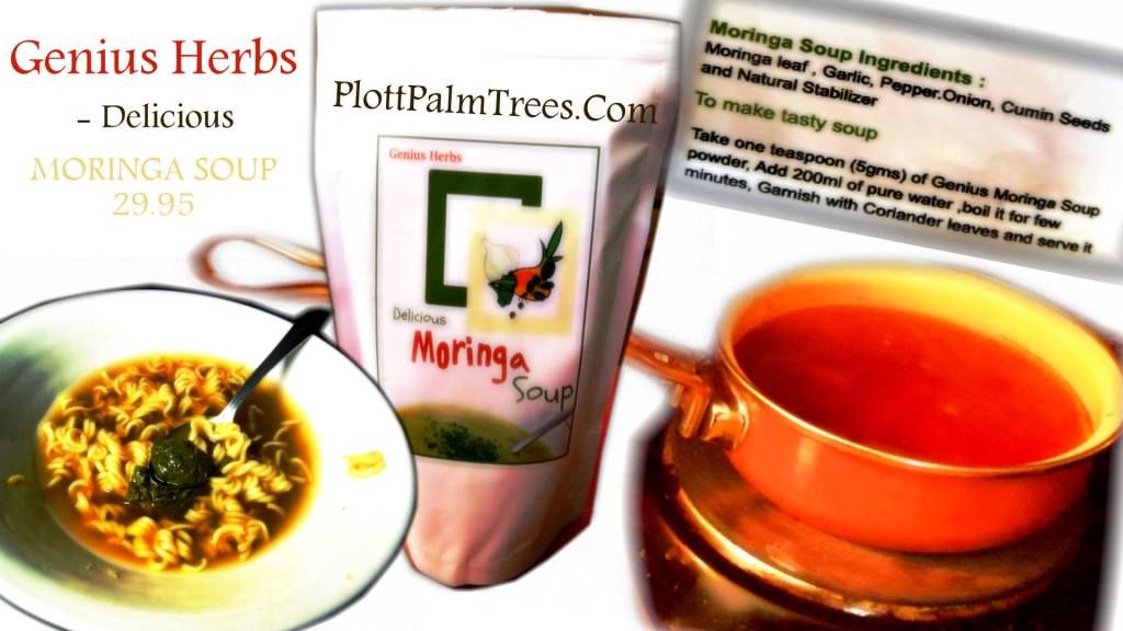 BUY GENIUS HERB SOUP: http://plottpalmtree.miiduu.com/genius-herbs-moringa-soup-plottpalmtreesMoringa RECIPESFor The Week:Scroll Down & Click This Link To Buy My FULL Moringa Recipe eBook To Support PlottPalmTrees.com Furthermore:http://www. photo 1048444_152453304942876_1516373092_o.jpg