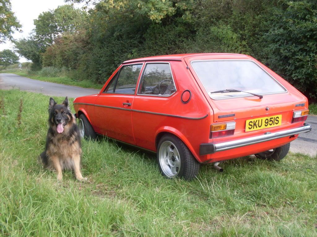 vw polo mk1 for sale