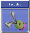 [Image: Bucculus.png]