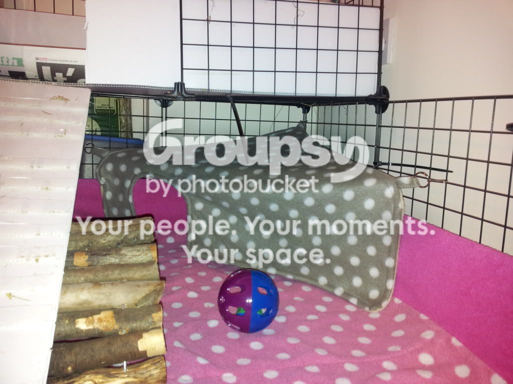 2012-01-28160940.jpg