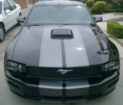 Mustang 4