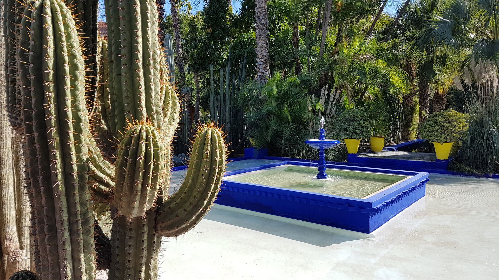 jardines majorelle marrakech.jpg