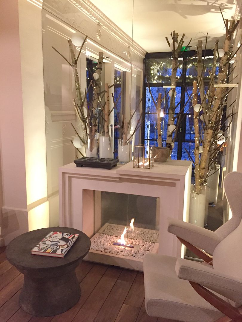 photo hotel de nell paris lujo petsfriendly francia france.jpg