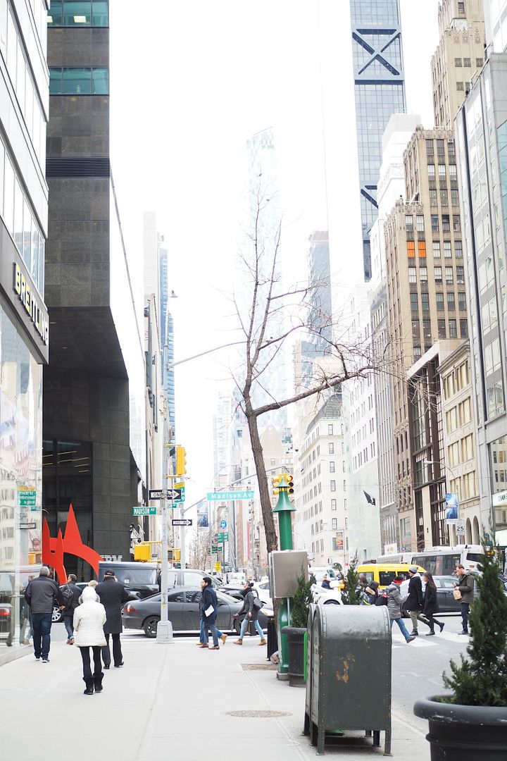 photo new york usa nueva york viajes travel fashion week.jpg