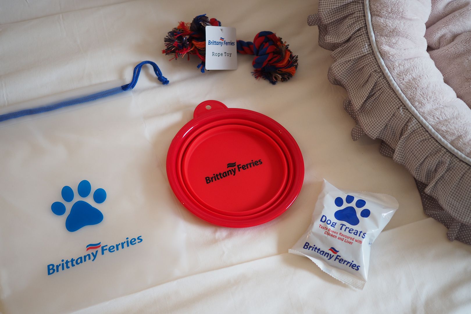  photo brittany ferries dogs pet friendly.jpg