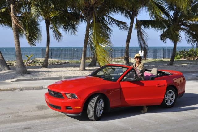 photo keywets mustang florida.jpg