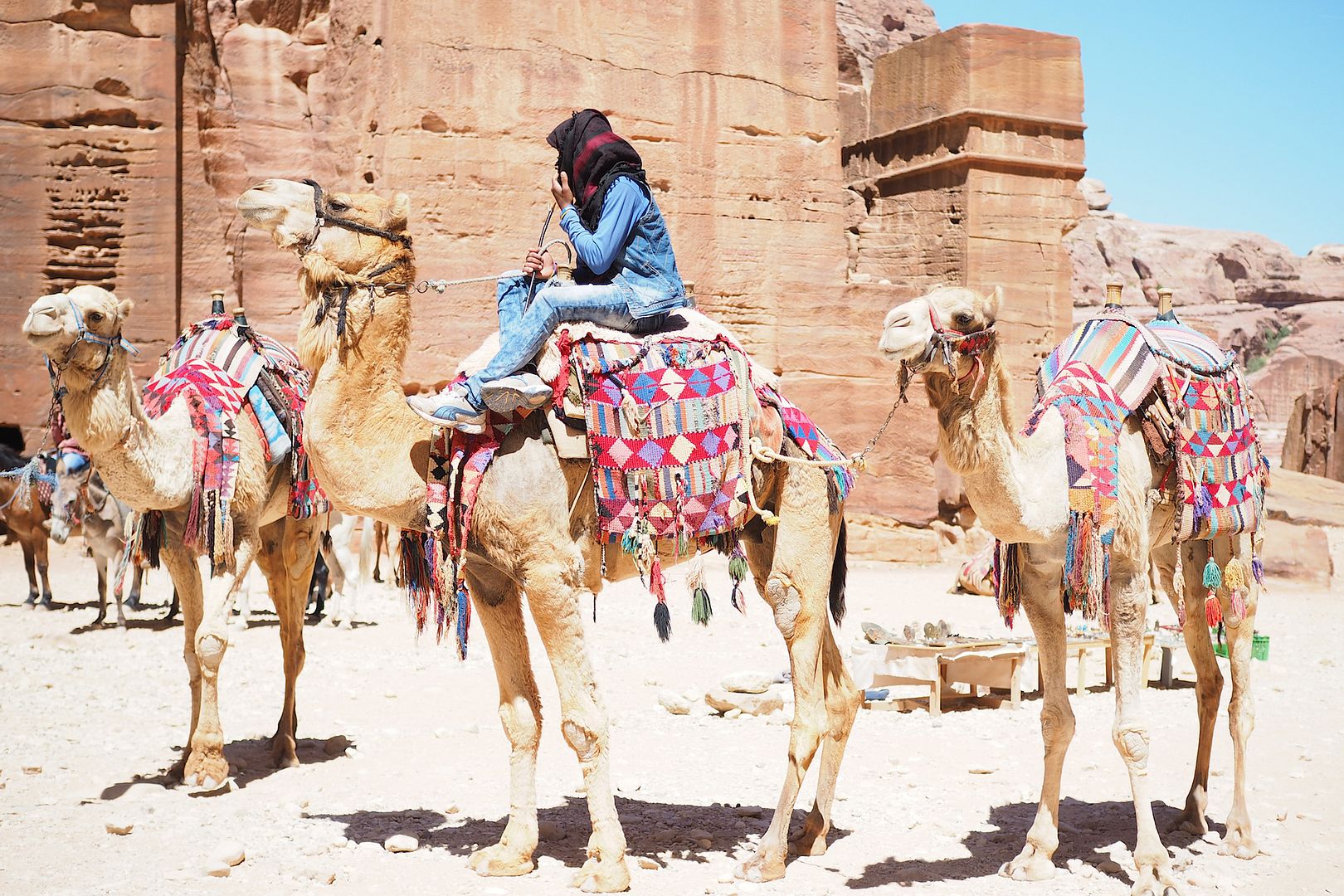  photo desierto camellos petra jordania jordan .jpg