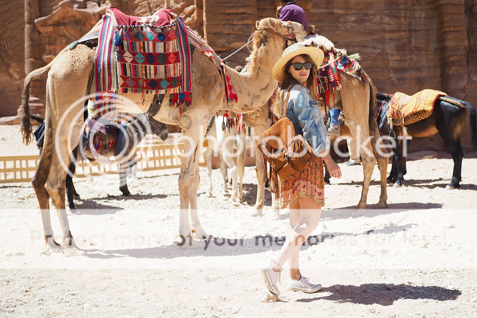  photo jordania jordan desierto camellos.jpg