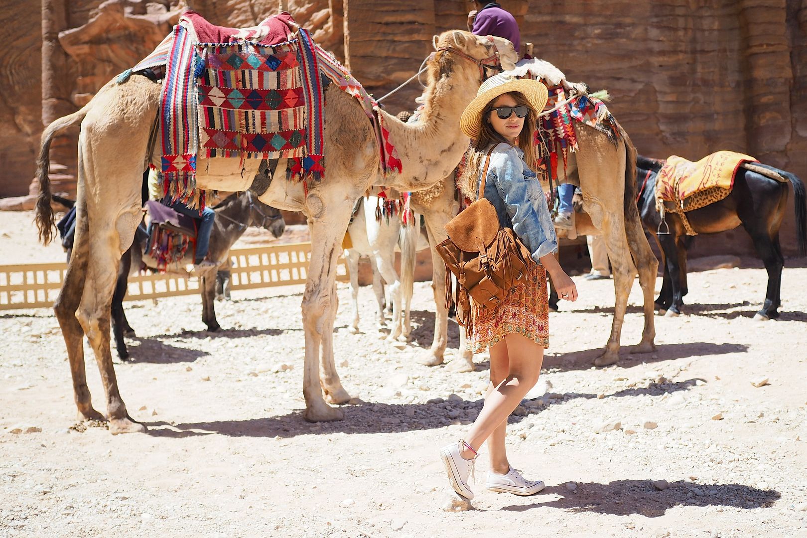 photo jordania jordan desierto camellos.jpg