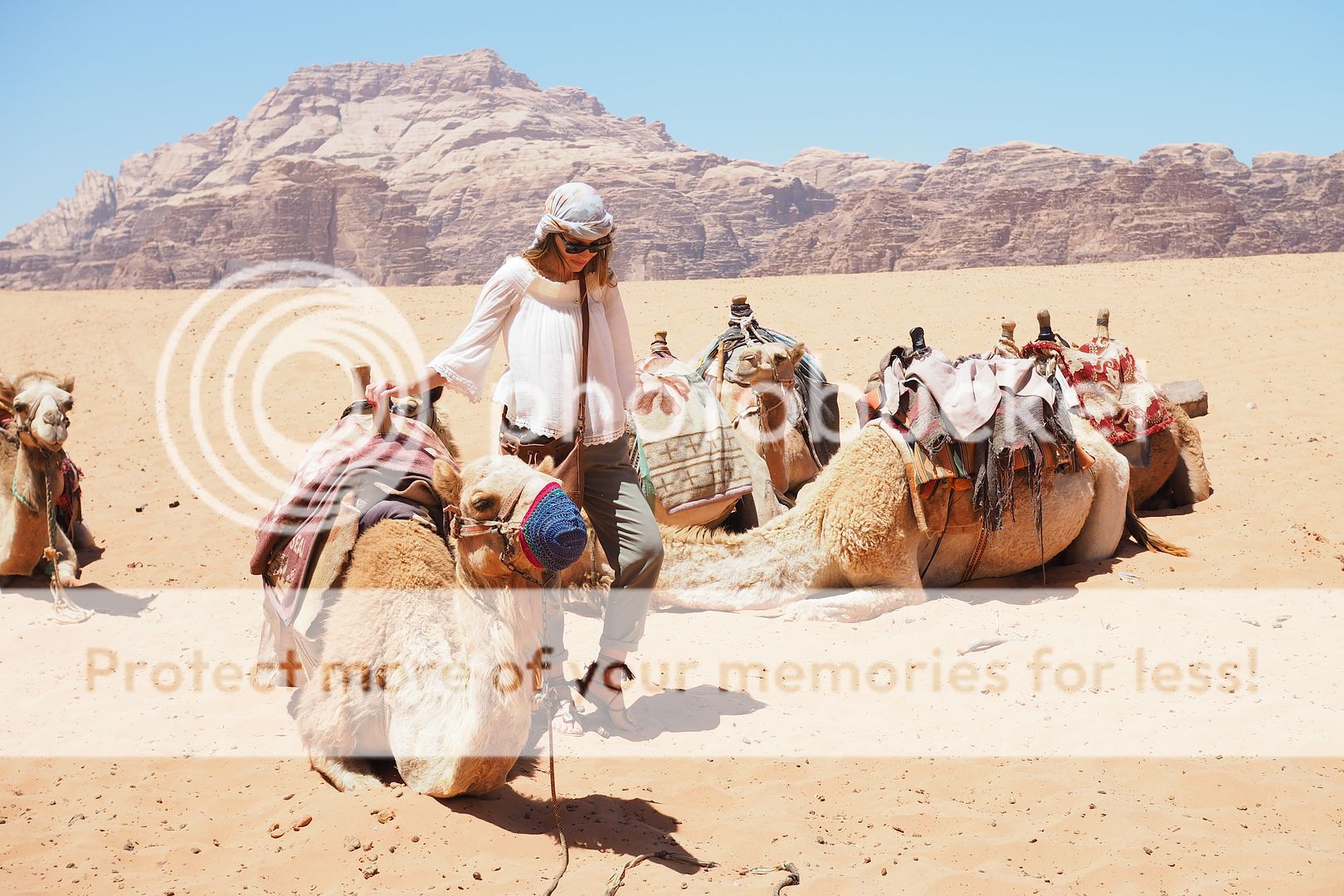  photo wadi rum jordania camellos desierto jordan camels .jpeg